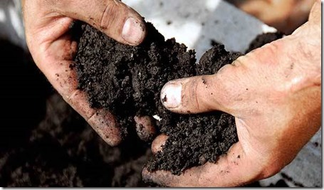 SoilInHandsGeneric_large