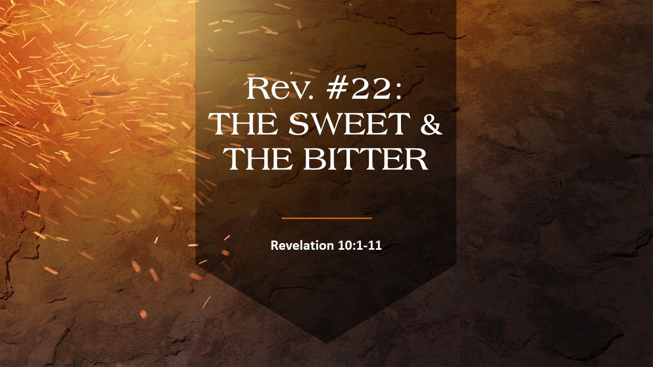 Rev #22